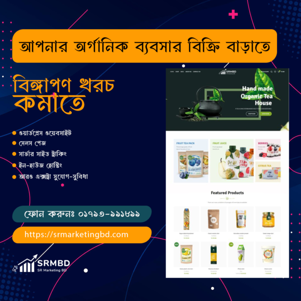 Website Design and Landing (With Hosting) - Image 3